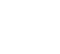 star-icon